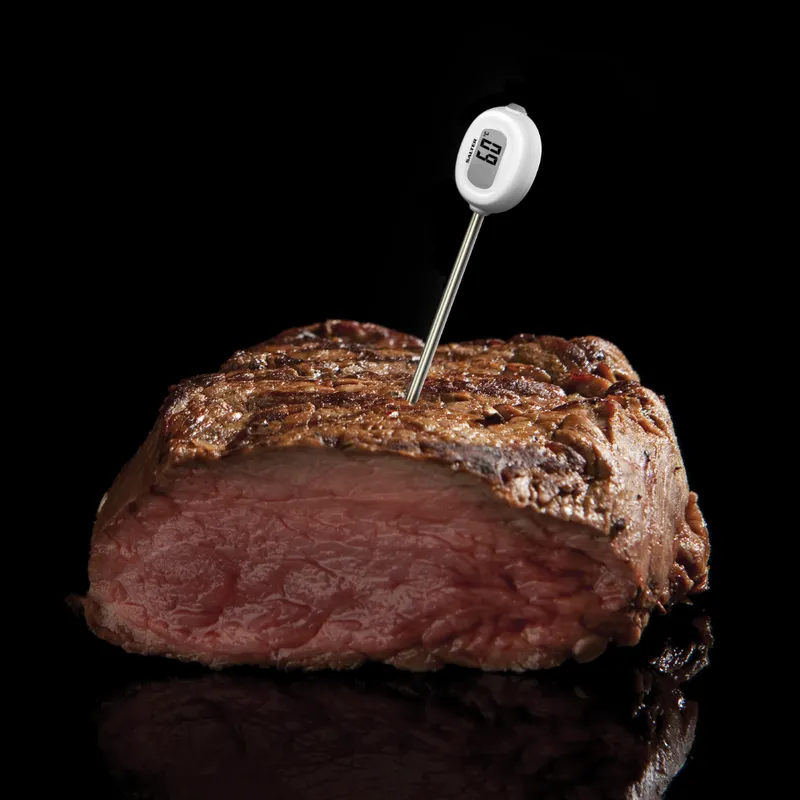 Heston Blumenthal by Salter 540A 5-in-1 Digital Cooking Thermometer