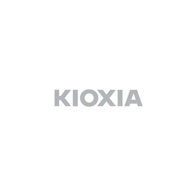 KIOXIA EXCERIA HIGH ENDURANCE KEMU-A256G