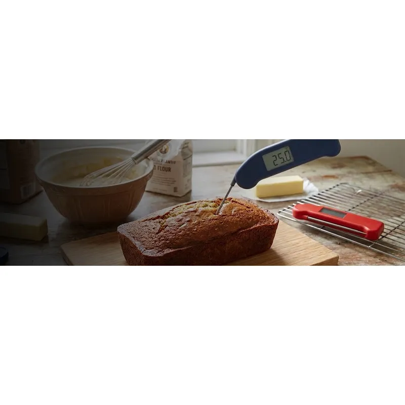Thermapen DOT